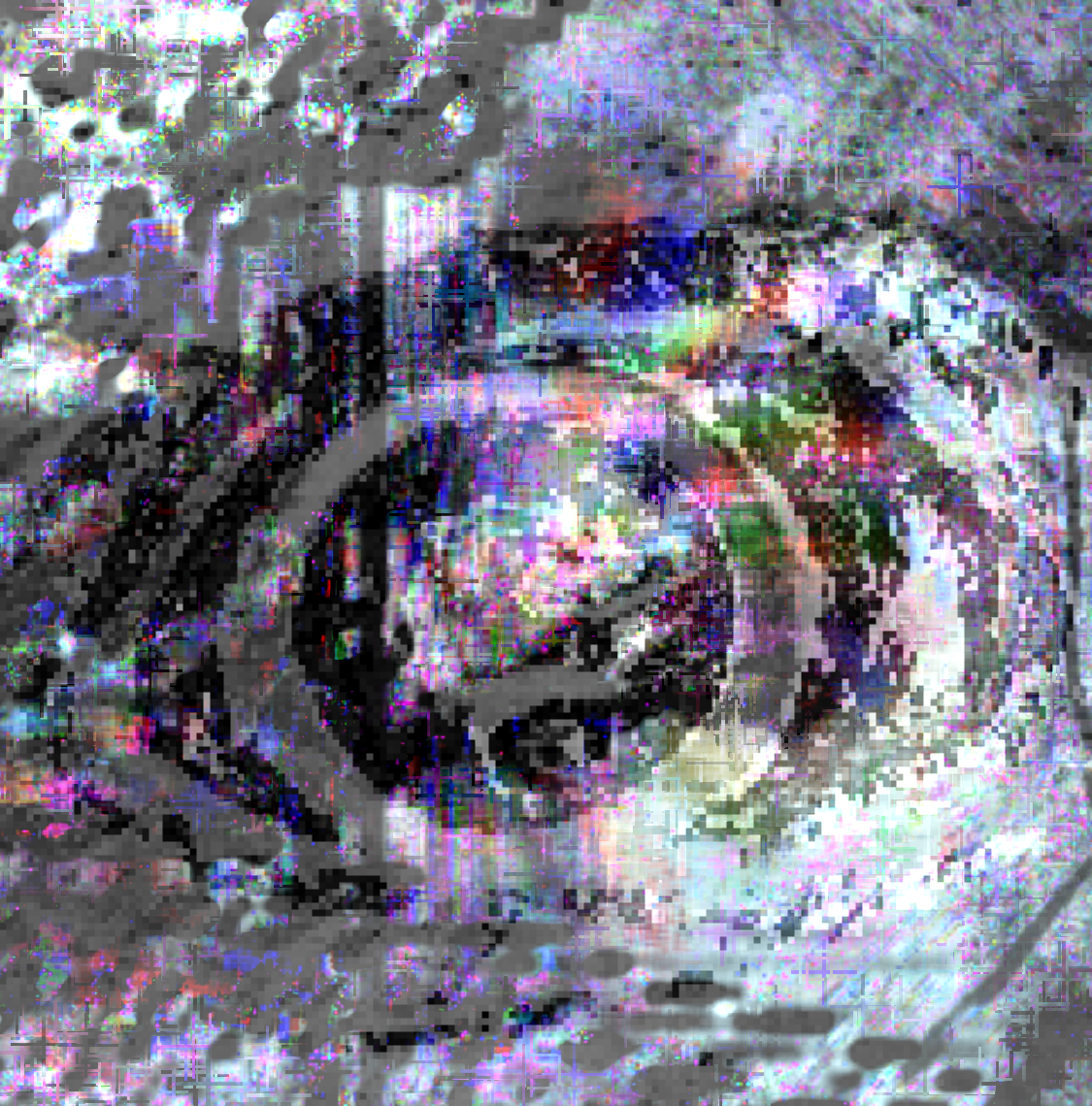 IMG_0509.png