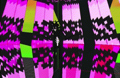 Untitledvideo-MadewithClipchamp-ezgif.com-crop.gif