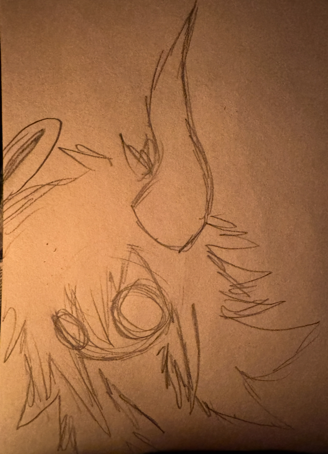 t5.png